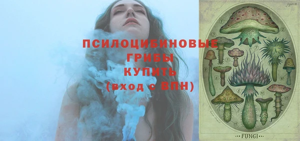 трава Магас