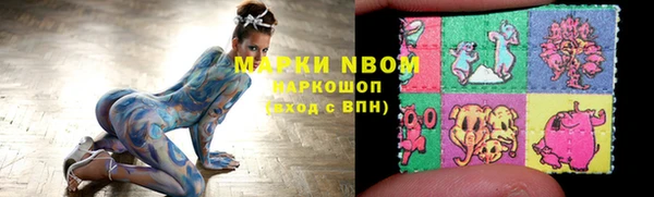 трава Магас