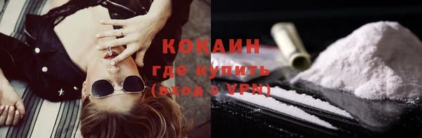 трава Магас